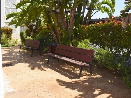 Appartement 69m² avec terrasse couverte à Denia : photo 17