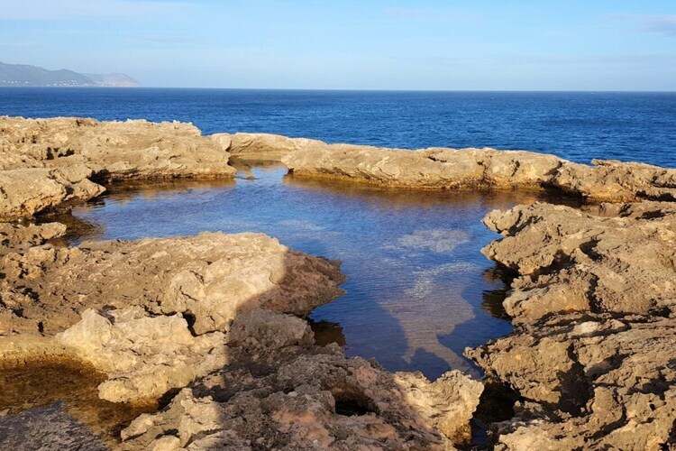 Appartement Cala Millor avec piscine privée et accès plage - Photo 30