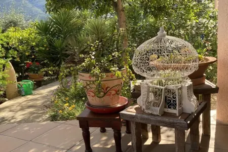 Finca climatisée avec piscine privée à Parcent : photo 22
