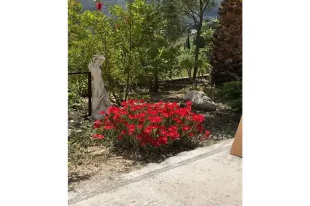 Finca climatisée avec piscine privée à Parcent : photo 26