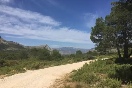 Finca climatisée avec piscine privée à Parcent : photo 35