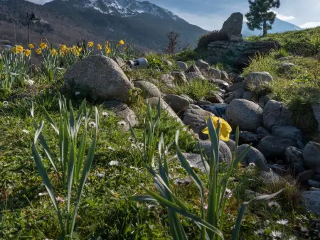 T2 montagnard Saint-Lary-Soulan, 4 pers. entre thermes : photo 11