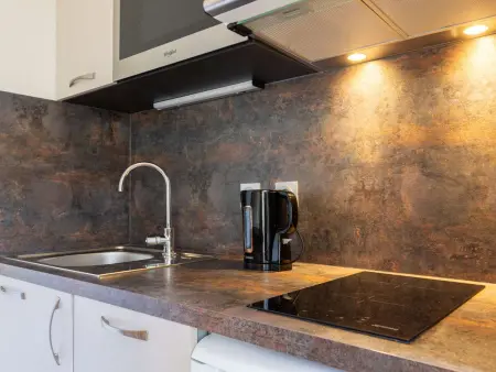 Appartement 4 pers. vue montagne à Saint-Lary-Soulan : photo 4