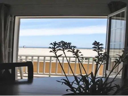 Appartement face à la mer à Gafanha da Encarnação : photo 13