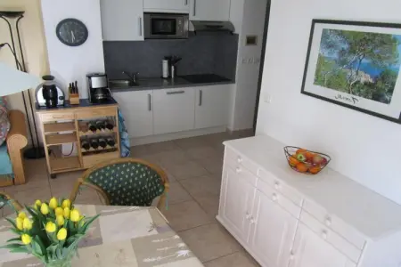 Maison 46 m² avec balcon sur lagon à Gruissan : photo 9