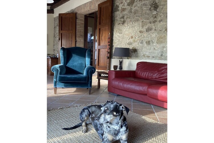 Maison en pierre du XVIe siècle à Castellina Marittima - Photo 14