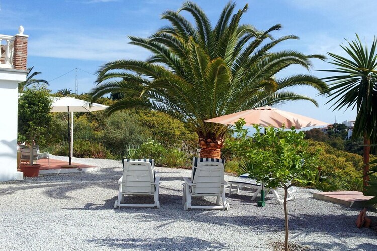 La Loma : finca meublée 4 personnes à Caleta de Velez - Photo 18