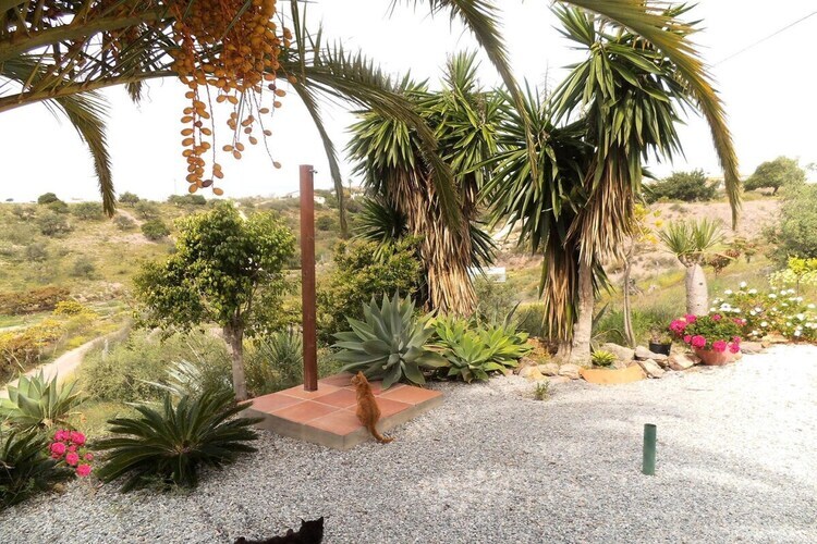 La Loma : finca meublée 4 personnes à Caleta de Velez - Photo 23