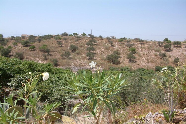 La Loma : finca meublée 4 personnes à Caleta de Velez - Photo 27