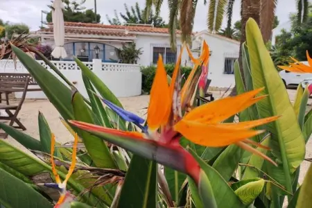 Maison 3 chambres avec piscine à Moraira : photo 37
