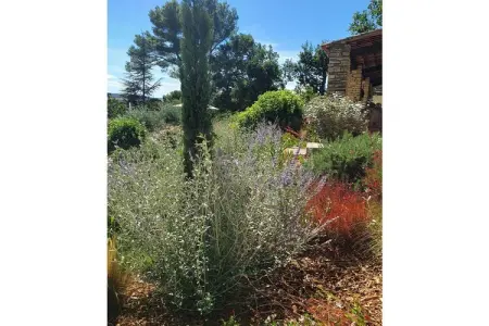 Maison mitoyenne rénovée avec piscine à Cabrières-d'Avignon : photo 8