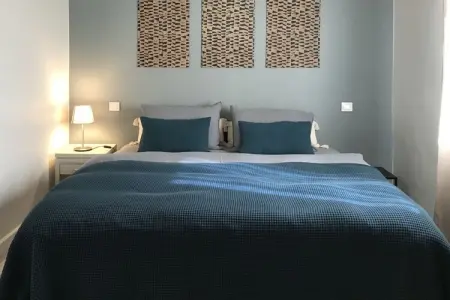Maison mitoyenne rénovée avec piscine à Cabrières-d'Avignon : photo 15