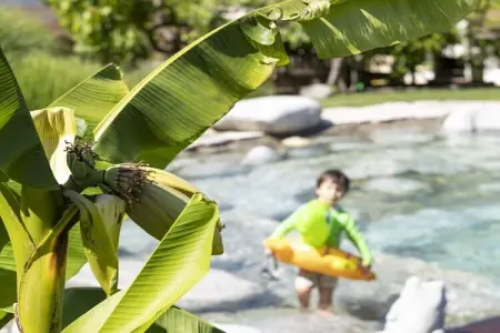Maison indépendante 6 pers. à Nals, jardin et piscine : photo 3