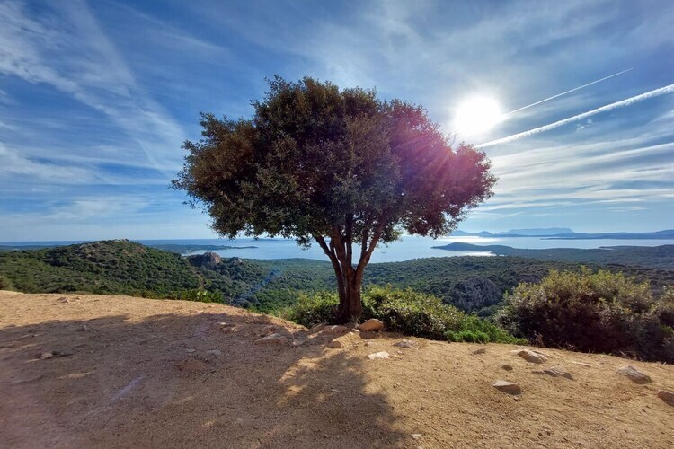 Maison avec vue mer à Olbia, 6 km de Pittulongu - Photo 24