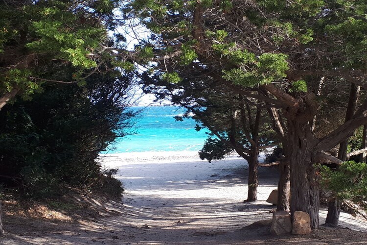 Maison avec vue mer à Olbia, 6 km de Pittulongu - Photo 27