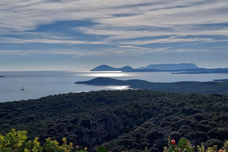 Maison avec vue mer à Olbia, 6 km de Pittulongu - Photo 28
