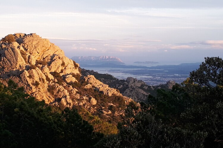 Maison avec vue mer à Olbia, 6 km de Pittulongu - Photo 32
