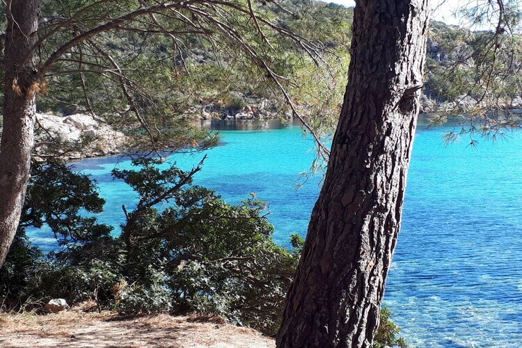 Maison avec vue mer à Olbia, 6 km de Pittulongu - Photo 33