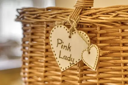 Maison Pink Lady à Nals, 4 pers., balcon jardin : photo 19