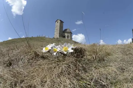 Appartement OLIVE au Tyrol du Sud avec vue sur le Vigiljoch : photo 22
