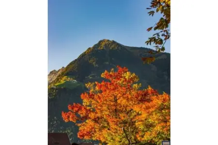 Maison de vacances avec vue Merano à Dorf Tirol : photo 16