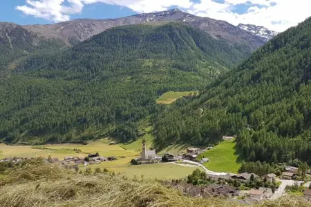 Waldruhe, appartement 4 pers. à Schnals avec vue panoramique : photo 8