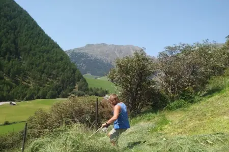 Waldruhe, appartement 4 pers. à Schnals avec vue panoramique : photo 9
