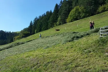 Maison de vacances 5 pers. à Vintl avec AlmencardPlus : photo 12