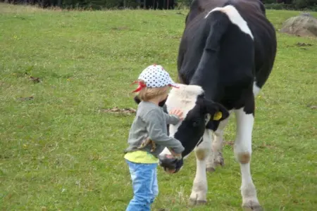 Gîte familial à la ferme avec aire de jeux à Völs am Schlern : photo 2