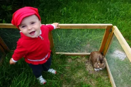 Gîte familial à la ferme avec aire de jeux à Völs am Schlern : photo 4