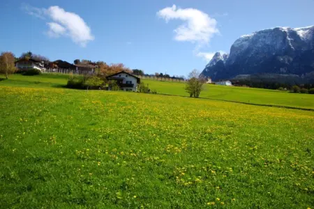 Gîte familial à la ferme avec aire de jeux à Völs am Schlern : photo 22