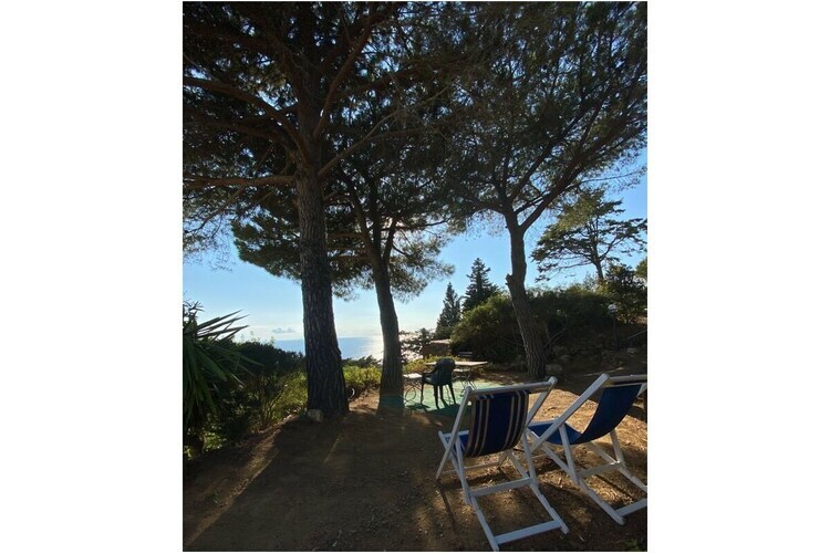 Maison 6 pers. à Capoliveri : jardin de 5000 m² - Photo 6