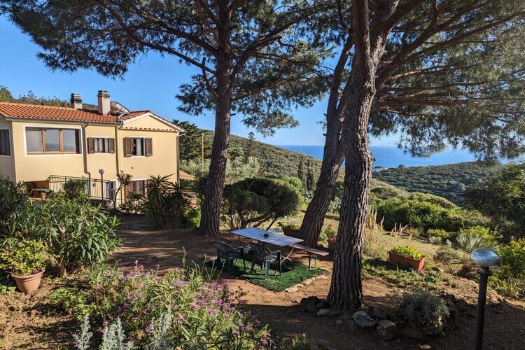 Maison 6 pers. à Capoliveri : jardin de 5000 m² - Photo 12
