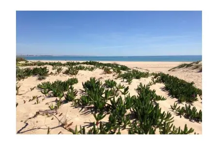 162747, Vacances de luxe avec piscine - Photo 27