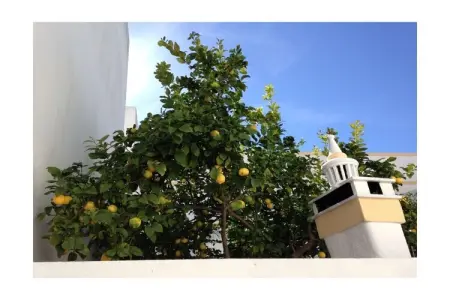 162747, Vacances de luxe avec piscine - Photo 30