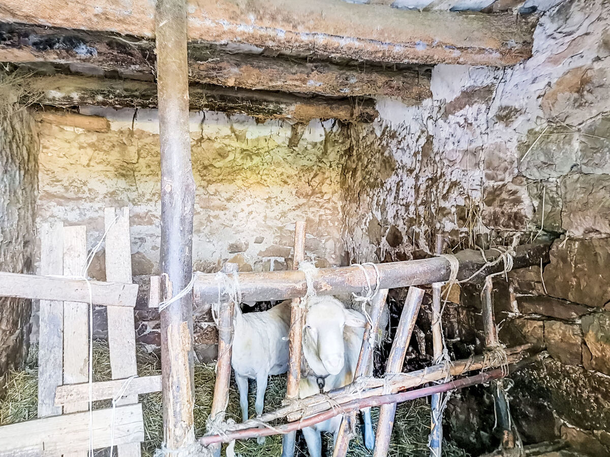 Il casolare di Campagna - Appartement 8 pers., Archi - Photo 34