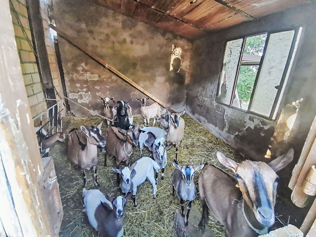 Il casolare di Campagna - Appartement 8 pers., Archi - Photo 36