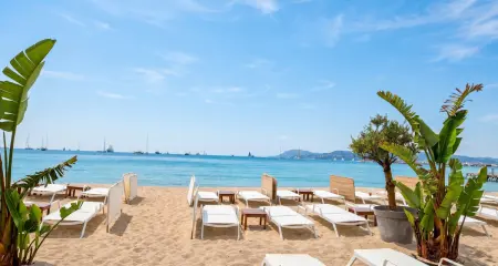 Appartement 110 m² avec balcon sur jardin à Cannes : photo 32