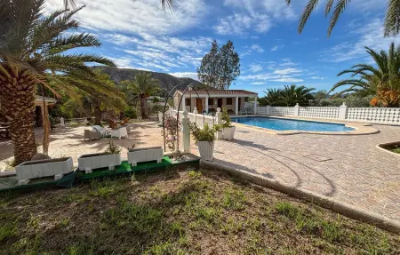 Maison 20 pers. avec piscine à Elda, 1000 m² : photo 10