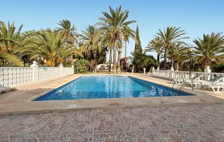 Maison 20 pers. avec piscine à Elda, 1000 m² : photo 12