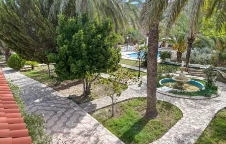 Maison 20 pers. avec piscine à Elda, 1000 m² : photo 19