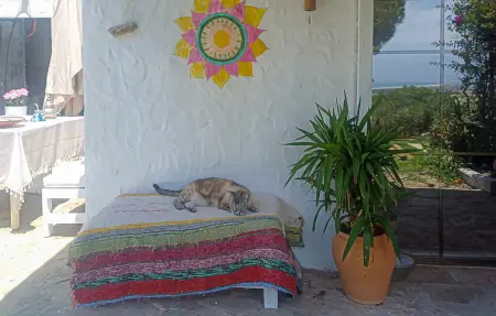 Maison 8 personnes à Tarifa - Photo 10