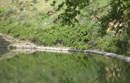 La Curiosa, Maison 6 personnes à Laroya - Photo 26