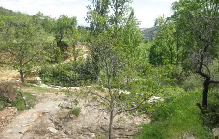 La Curiosa, Maison 6 personnes à Laroya - Photo 28
