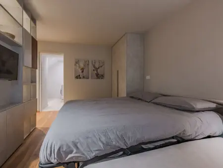 La Spada e La Fiamma, appartement rénové à Ossana : photo 28
