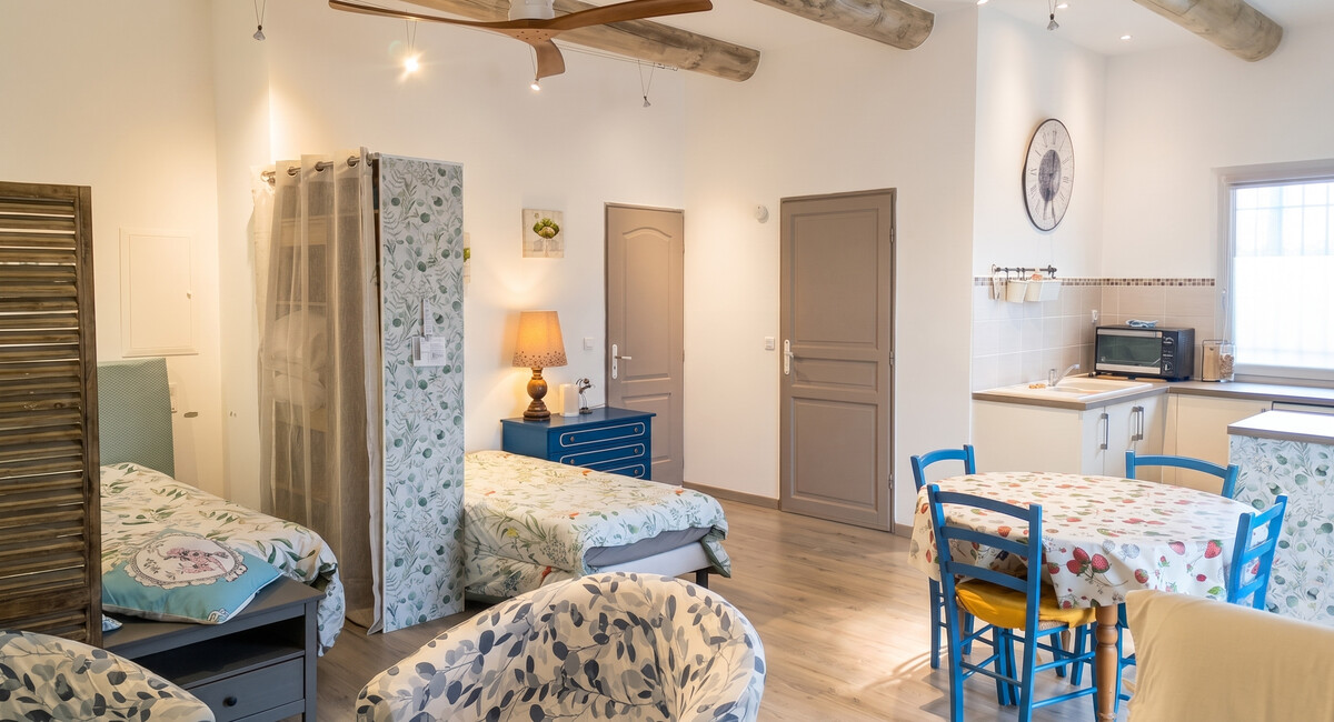 Studio 50 m² avec piscine partagée à Cabrières-d'Avignon - Photo 4