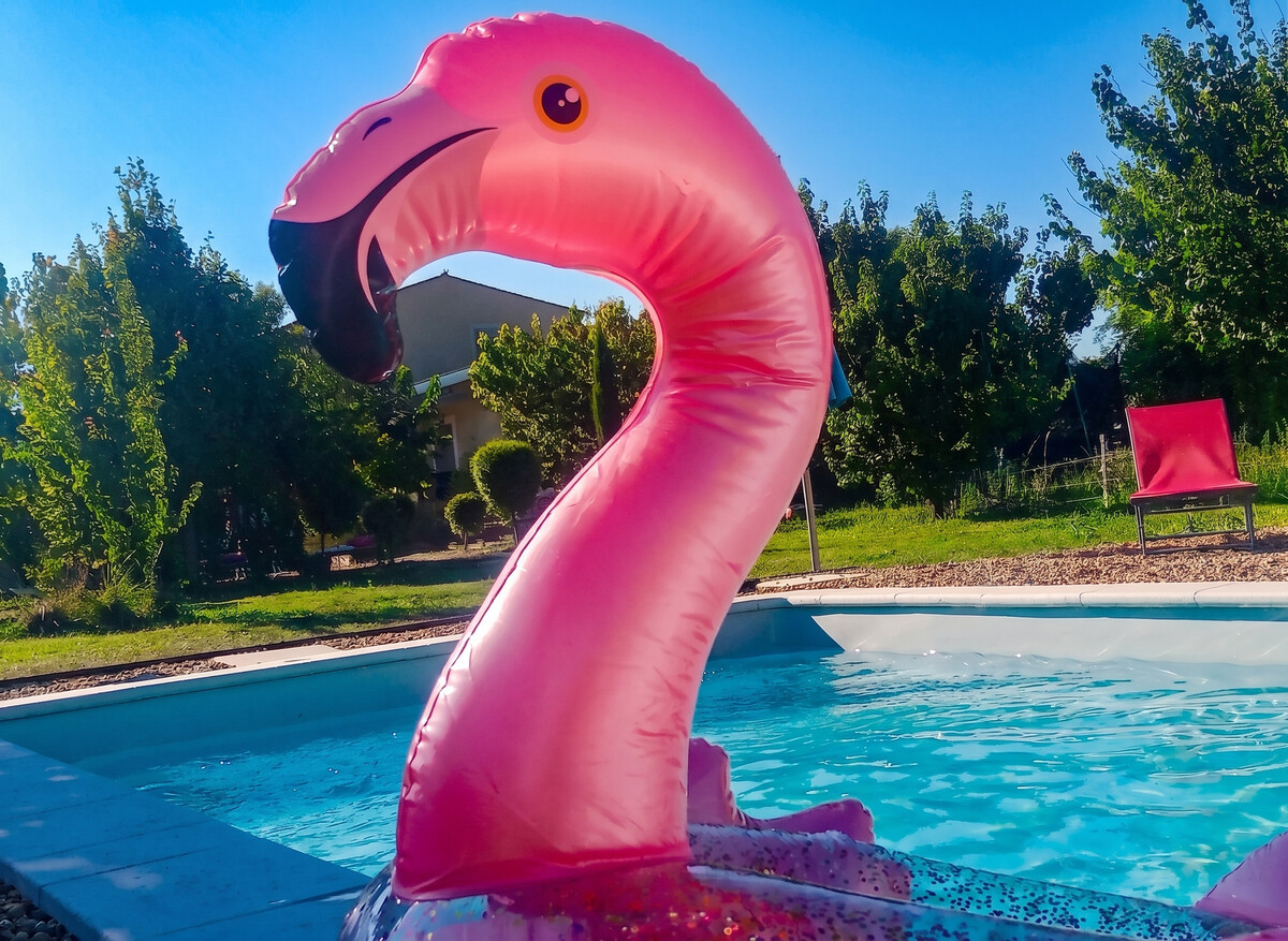 Studio 50 m² avec piscine partagée à Cabrières-d'Avignon - Photo 5
