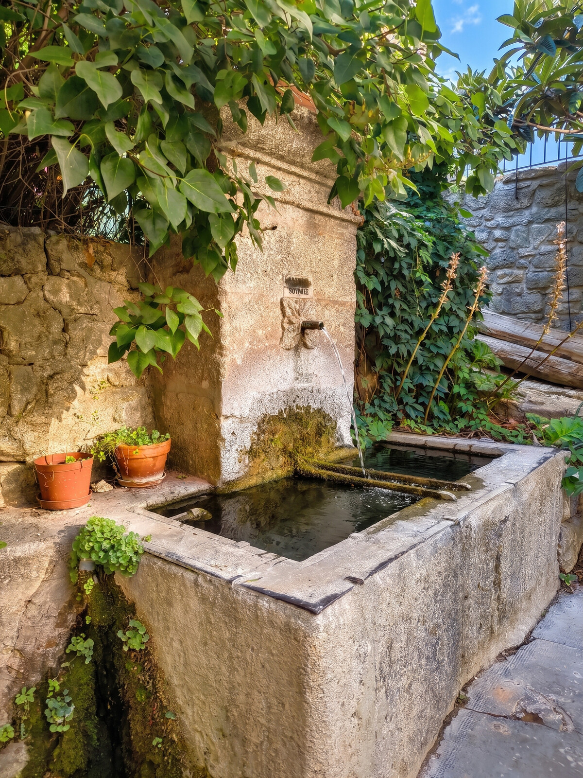 Studio 50 m² avec piscine partagée à Cabrières-d'Avignon - Photo 23