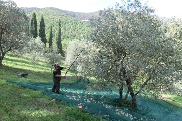 Maison Poggio Banzi à Suvereto, accessible PMR - Photo 14