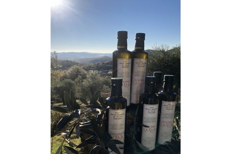 Maison Poggio Banzi à Suvereto, accessible PMR - Photo 17